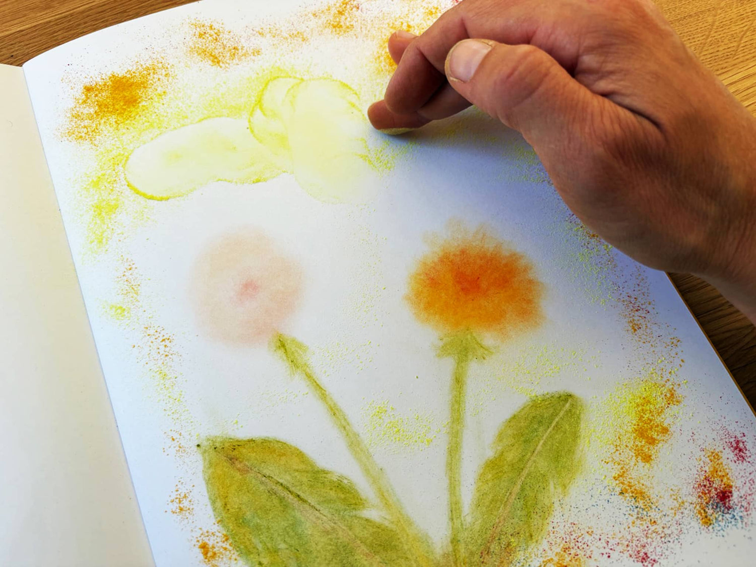 Detailed drawing of a dandelion root with Seccorell - fingers smudge the color powder directly in the botanical epoch booklet.