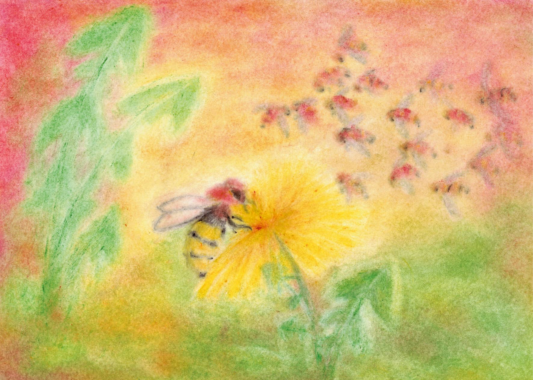 Seccorell Postkarte "Biene" mit einer Biene auf einer Löwenzahnblüte in warmen Gelb- und Rosatönen, gestaltet von Andrea Reiß in Finger-Wischmaltechnik.