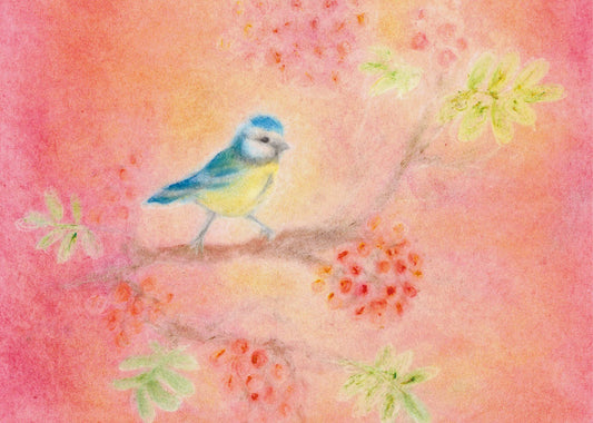 Seccorell-Postkarte zeigt eine zarte Blaumeise auf blühendem Ast, gemalt in sanften Pastelltönen ohne Wasser oder Fixativ.