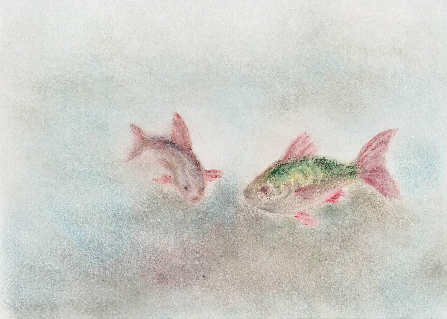 Seccorell Postkarte "Fische"