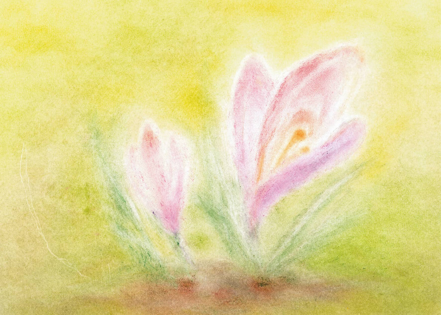 Zarte Krokusblüten in sanften Farben, gestaltet in der Seccorell Finger-Wischmaltechnik auf der Postkarte „Krokus“ von Andrea Reiß.