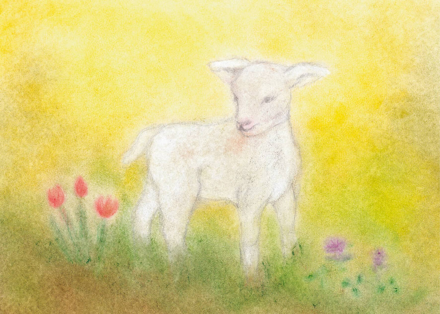 Junges Lamm auf einer bunten Frühlingswiese, umgeben von Blumen, gestaltet in der Seccorell Finger-Wischmaltechnik auf der Postkarte „Lämmchen“ von Andrea Reiß.