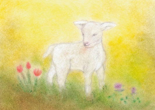Junges Lamm auf einer bunten Frühlingswiese, umgeben von Blumen, gestaltet in der Seccorell Finger-Wischmaltechnik auf der Postkarte „Lämmchen“ von Andrea Reiß.