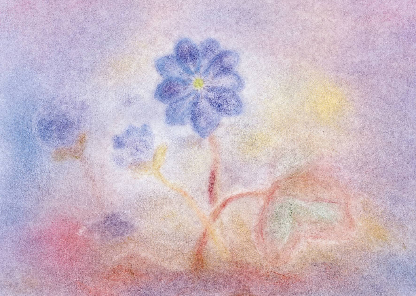 Zarte Leberblümchen-Blüte in Pastelltönen, gestaltet in der Seccorell Finger-Wischmaltechnik auf der Postkarte „Leberblümchen“ von Andrea Reiß.