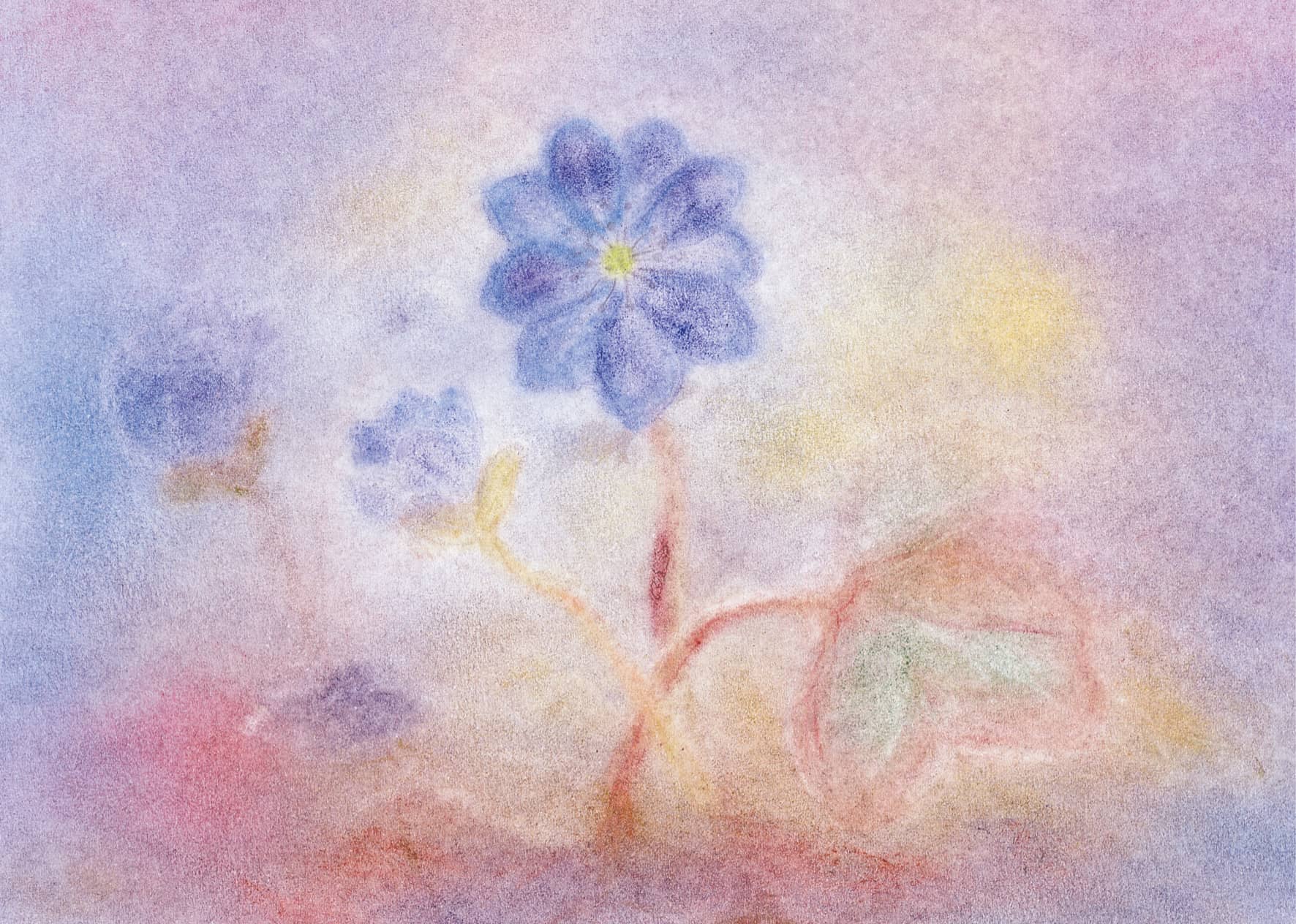Seccorell Postkarte "Leberblümchen" zeigt zarte florale Schönheit im Frühjahr in weichen Seccorell-Farbverläufen.