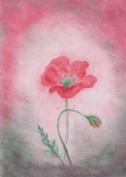 Blühende Mohnblume in sanften Rot- und Grüntönen, dargestellt in der Seccorell Finger-Wischmaltechnik auf der Postkarte „Mohn“ von Andrea Reiß.