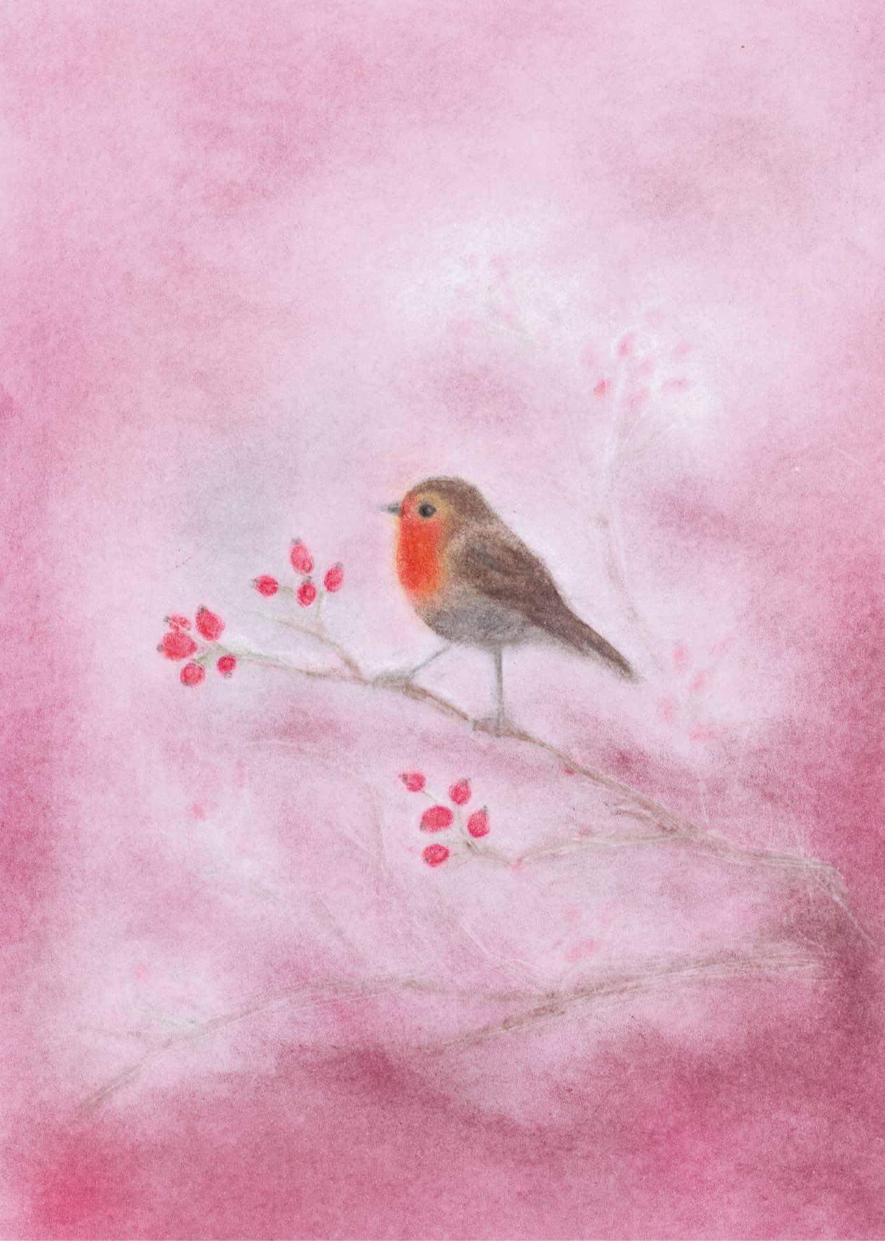 Seccorell Postkarte "Rotkehlchen" mit einem kleinen Rotkehlchen auf einem Zweig, gestaltet in Finger-Wischmaltechnik von Andrea Reiß in Rosa- und Rottönen.