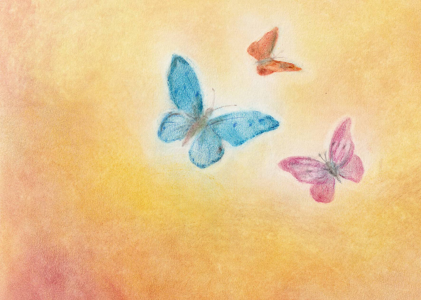Seccorell Postkarte "Schmetterlinge"