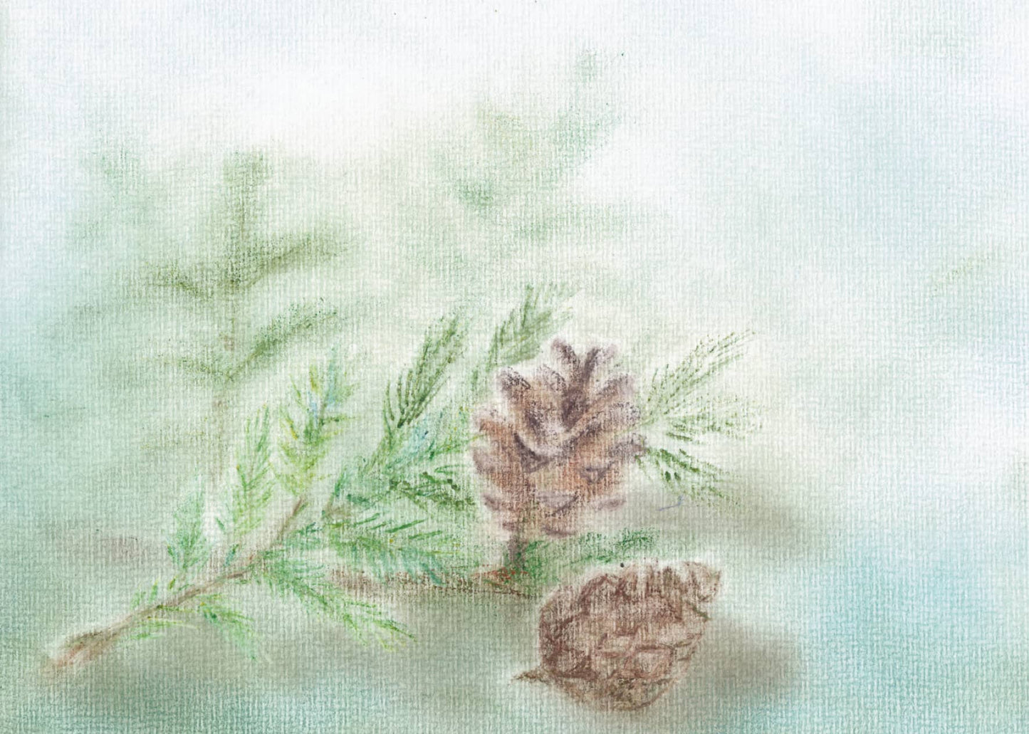 Tannenzweig mit Zapfen in zarten, winterlichen Farben, gestaltet in der Seccorell Finger-Wischmaltechnik auf der Postkarte „Winterstimmung“ von Andrea Reiß