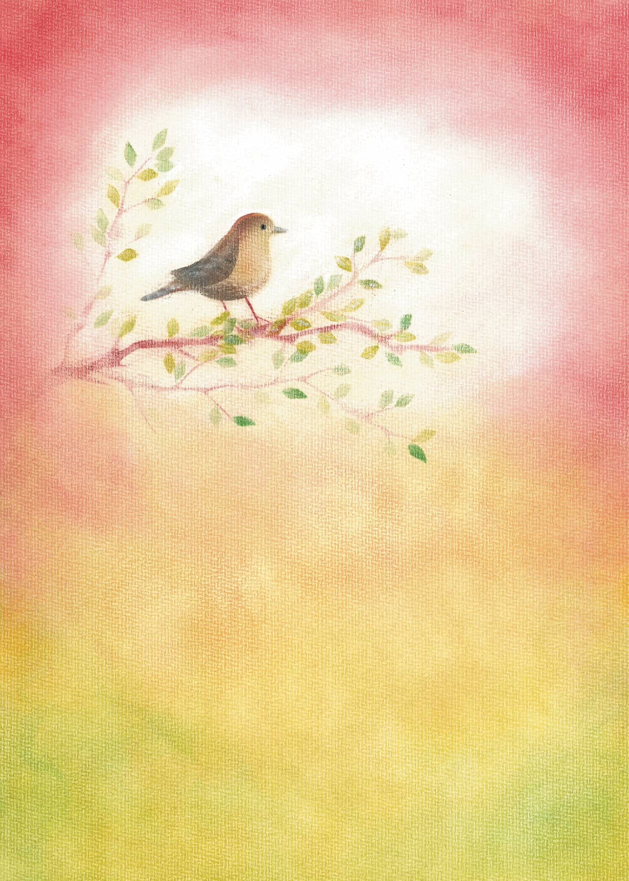 Seccorell postcard "Wren"