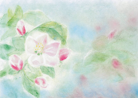 Seccorell postcard "Apple blossom", delicate color gradations in watercolor look, ideal for spring greetings.