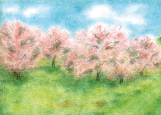 Seccorell postcard "Tree blossoms", with blossoming trees in a green meadow under a blue sky, ideal for spring greetings. 