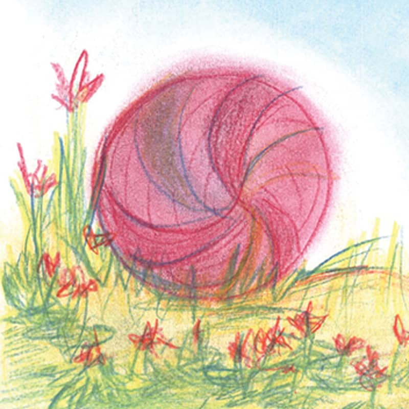 Auf einer Blumenwiese ist ein Ball zu sehen, der mit Seccorell Farben gemalt wurde.