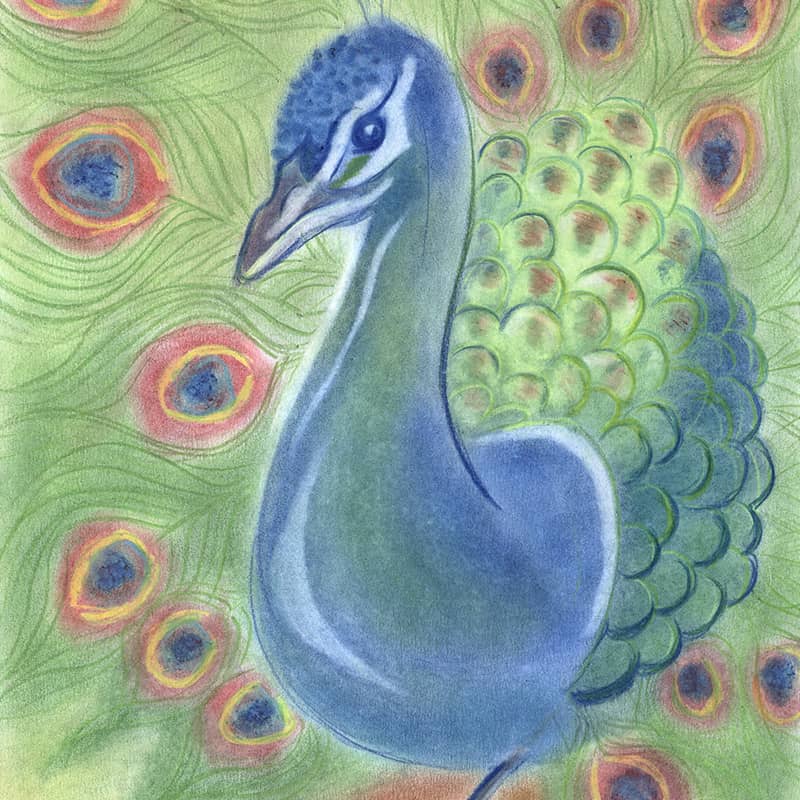 Zeichnen, Radieren & Kombinieren