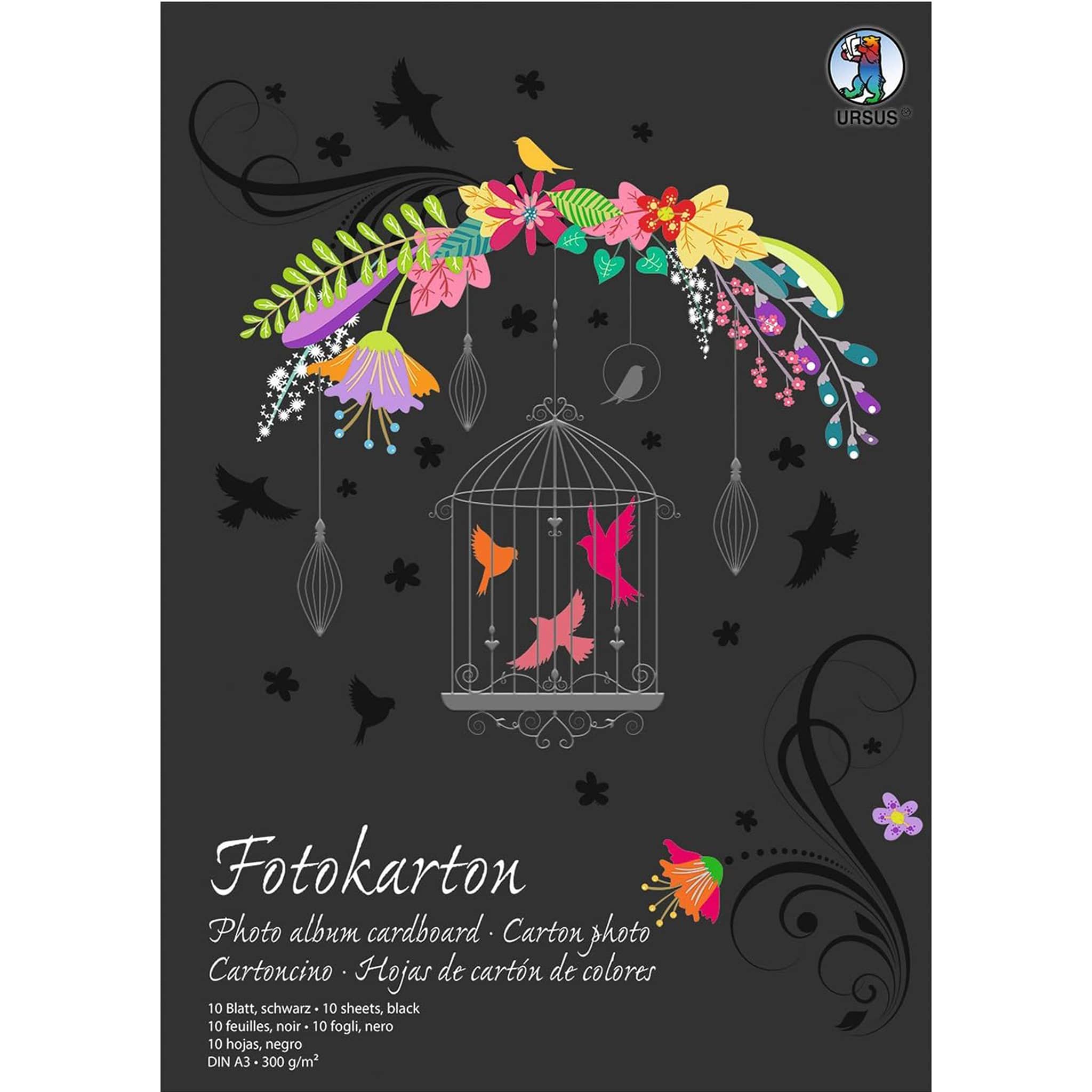 Fotokarton schwarz / 10 Blatt