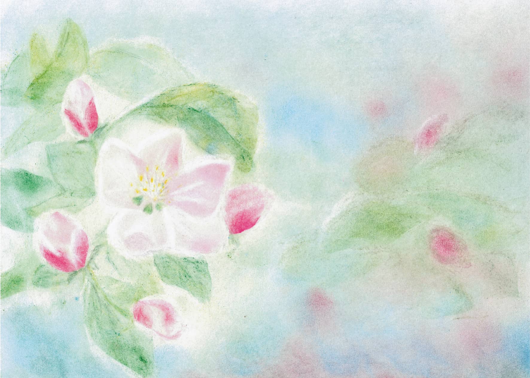 Seccorell Postkarte "Apfelblüte" mit zartrosa Apfelblüten und grünen Blättern auf einem hellen, pastelligen Hintergrund, gestaltet von Andrea Reiß in der Seccorell-Technik.
