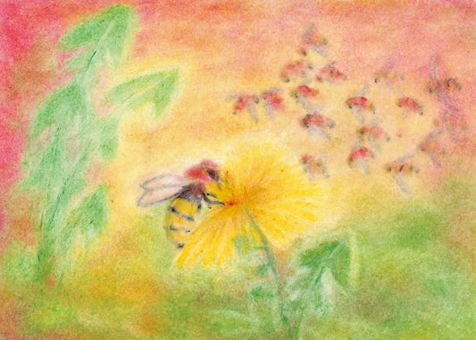 Seccorell-Postkarte mit lebhafter Biene auf sonniger Löwenzahnblüte, gemalt in sanften Pastelltönen ohne Wasser oder Fixativ.