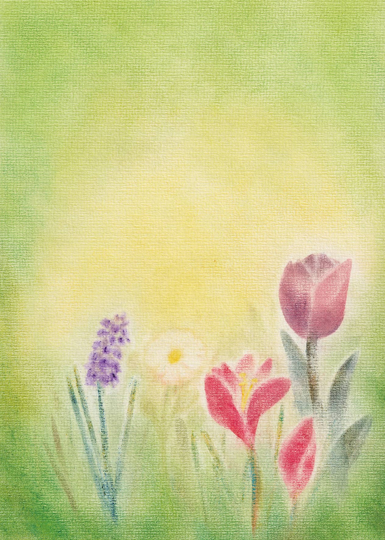 Seccorell Postkarte "Frühlingserwachen"