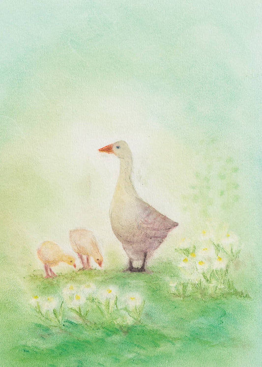 Seccorell Postkarte "Gänse"