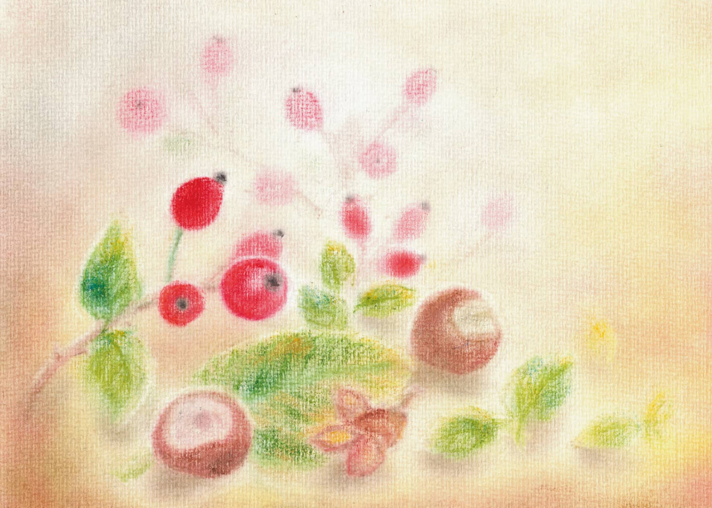 Seccorell-Postkarte "Hagebutten" mit leuchtenden roten Früchten und zarten Blättern auf hellem Hintergrund.