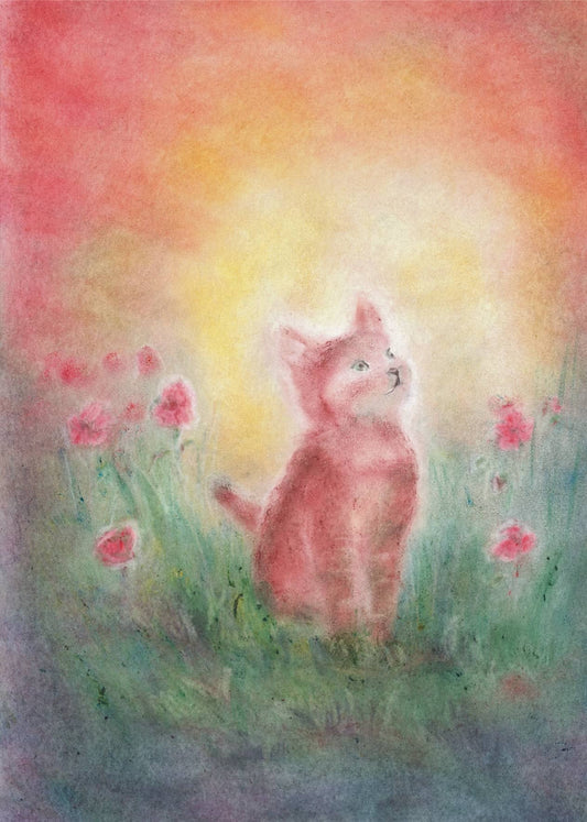 Seccorell-Postkarte "Kätzchen" porträtiert ein neugieriges Kätzchen inmitten einer blühenden Wiese bei Sonnenuntergang.