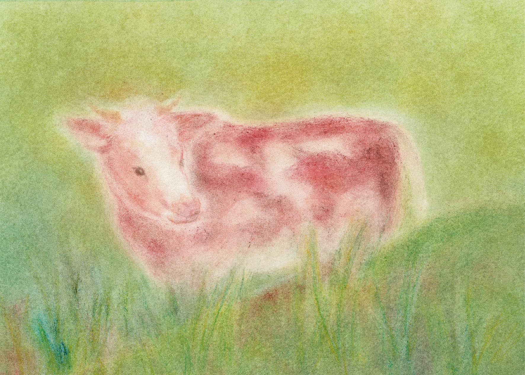 Seccorell-Postkarte "Kuh auf der Weide" zeigt ein friedliches Rind inmitten grüner Natur.