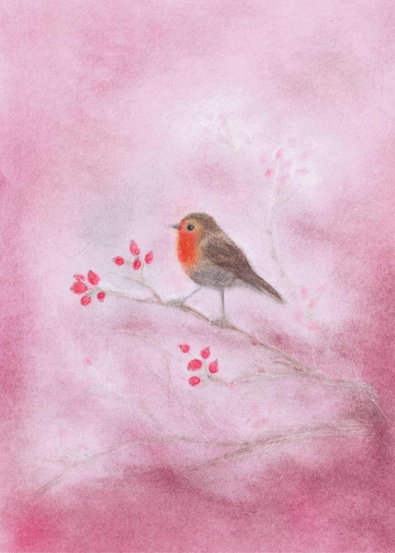 Seccorell Postkarte "Rotkehlchen" zeigt einen kleinen Vogel auf einem Zweig, umhüllt von einem zarten rosa Hintergrund, erstellt mit Seccorell-Farben.