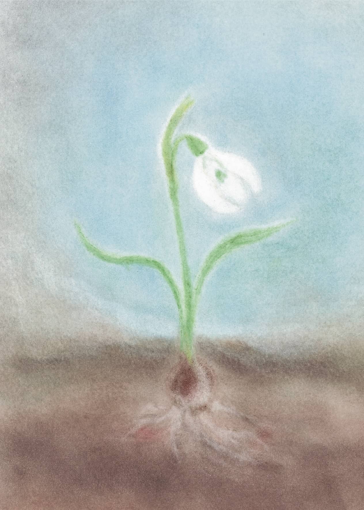 A single snowdrop growing delicately from the earth in a wintry atmosphere, created using the Seccorell finger-wipe painting technique on the "Snowdrop" postcard by Andrea Reiß.