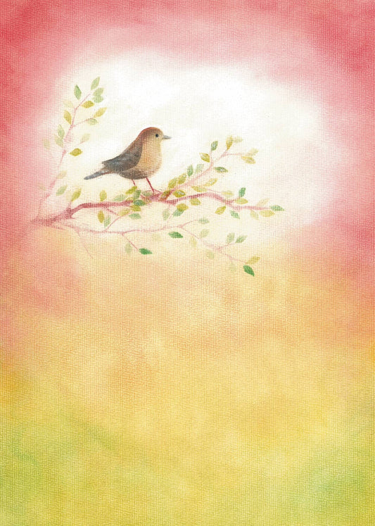 Seccorell Postkarte "Zaunkönig"