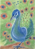 Seccorell Postkarte "Pfau" mit detaillierter Darstellung eines Pfaus und seines leuchtenden Federkleides, gestaltet in Finger-Wischmaltechnik von Miriam Seeberger.