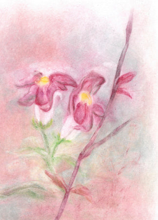 Seccorell Postkarte "Aufatmen"